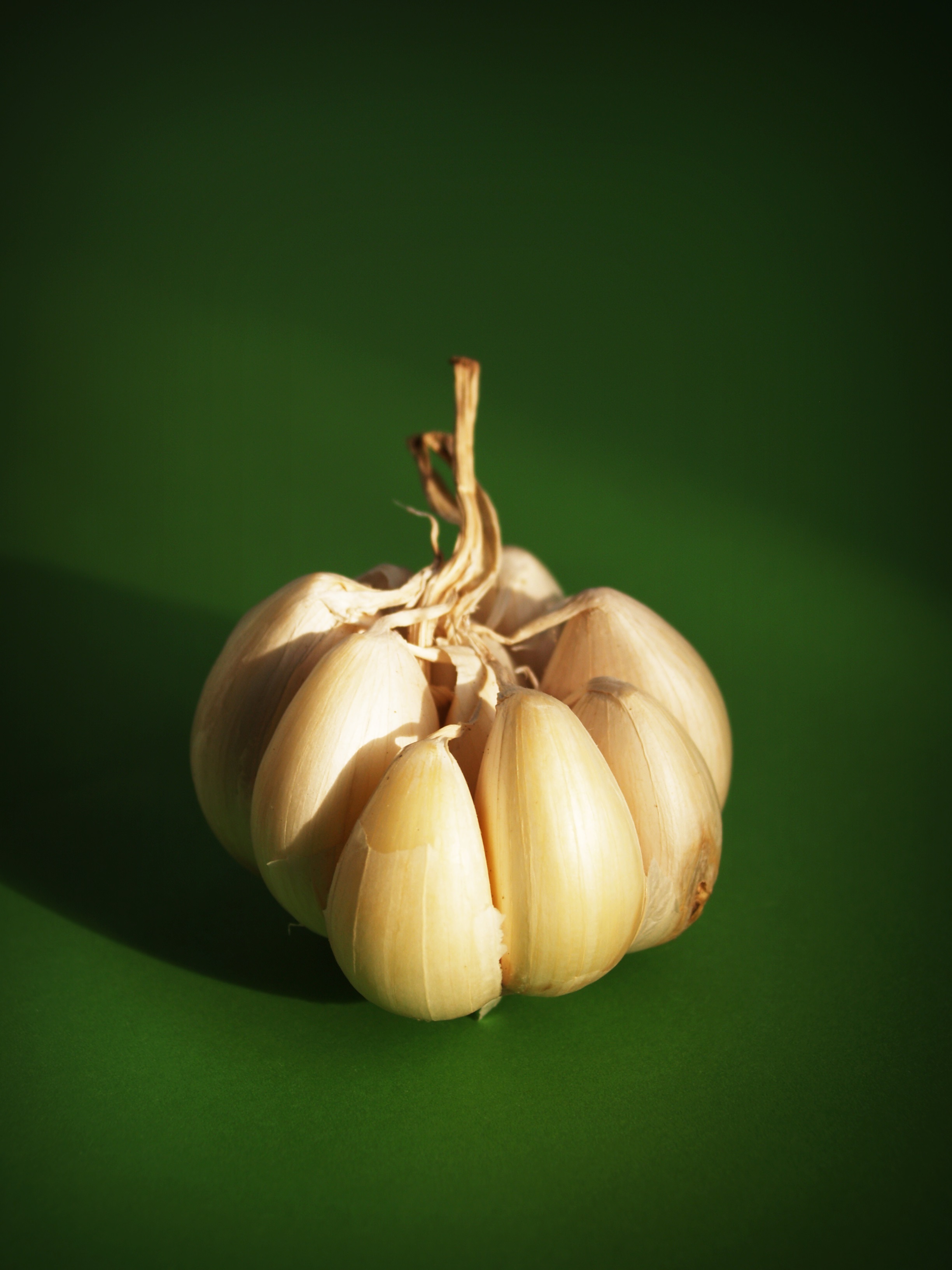 Garlic bulb on green surface free image download