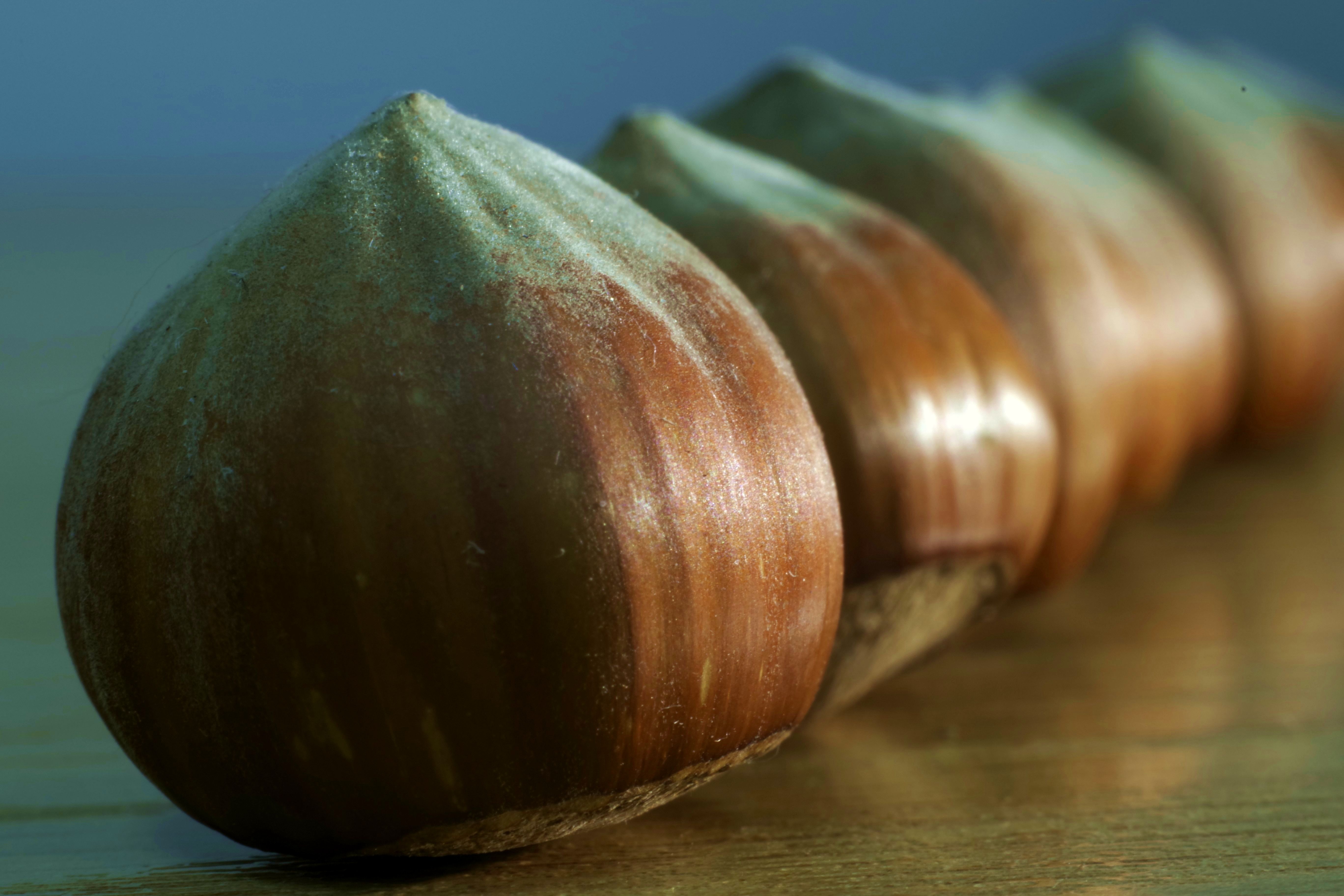 A Few hazelnuts with vitamins free image download