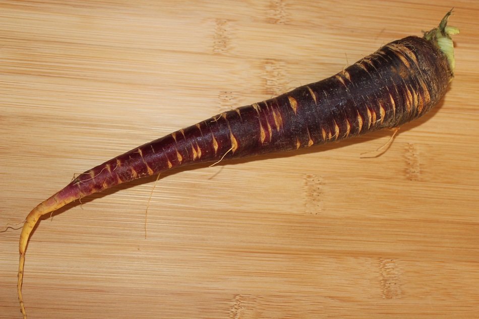 Purple carrot is an organic product free image download