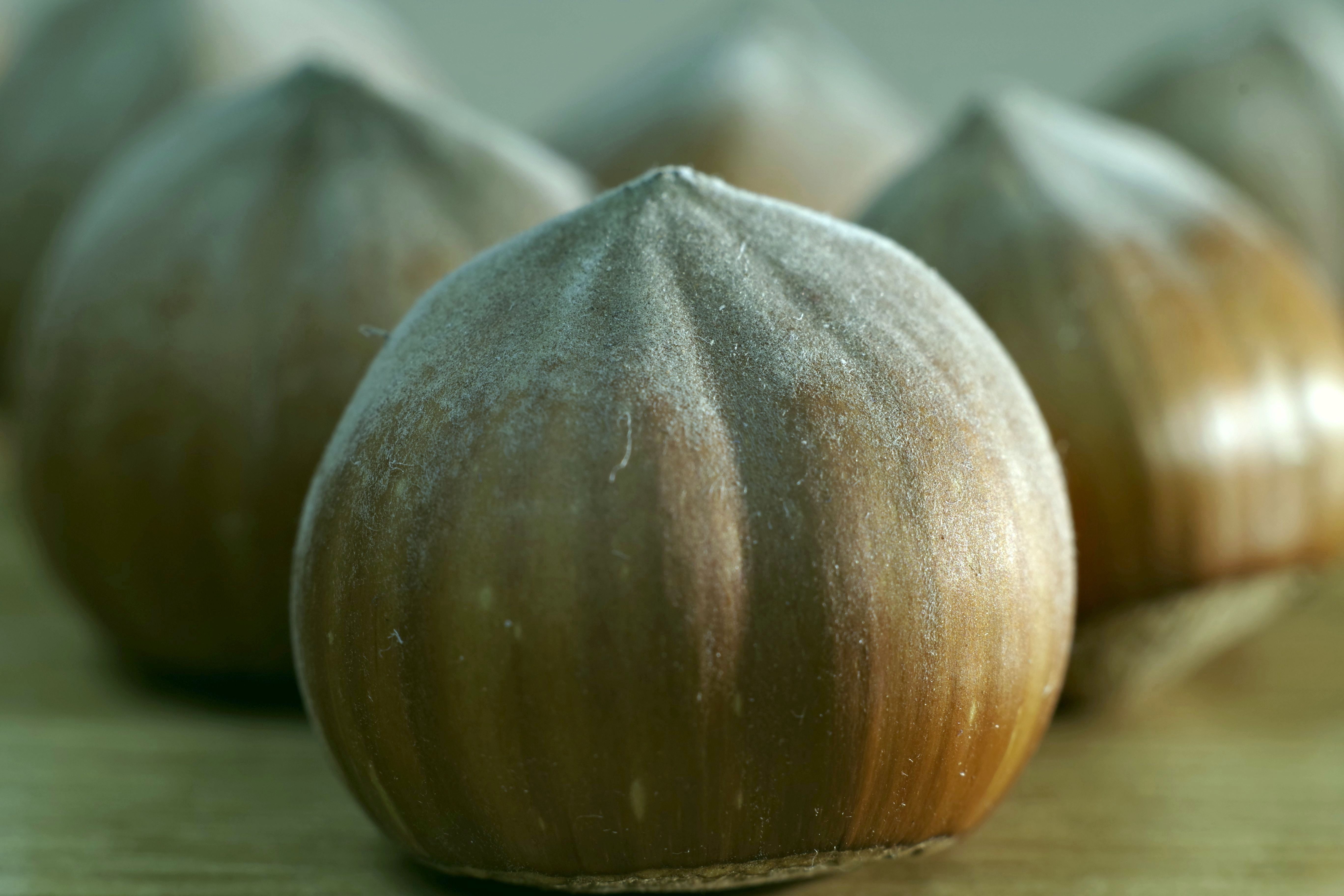 Fresh Hazelnuts Group closeup free image download