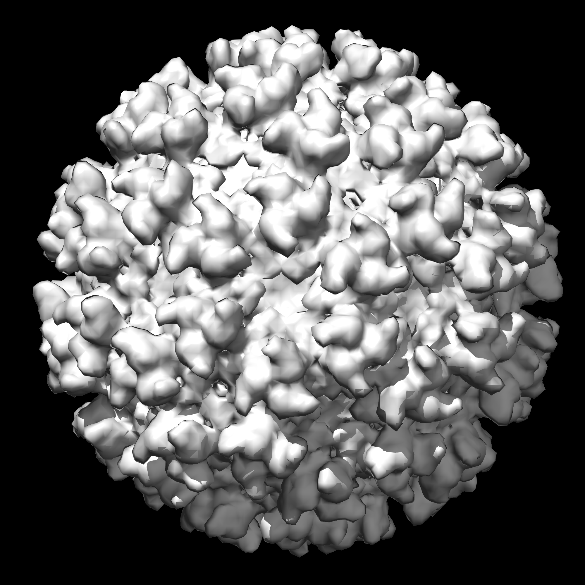 Closeup virus free image download