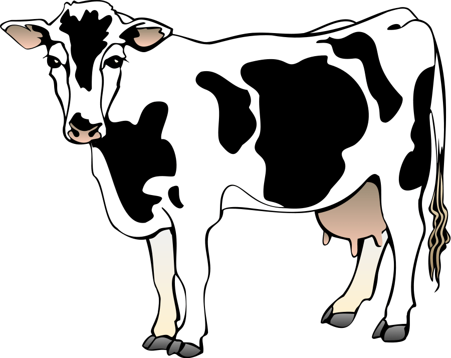 Milk Cow drawing free image download
