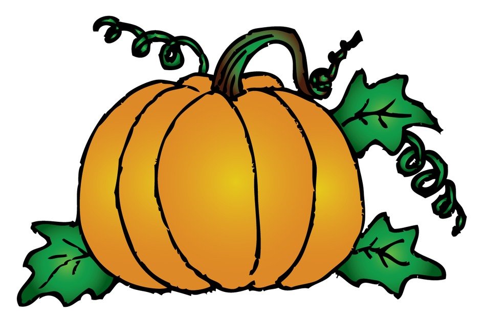 Pumpkin Vines Clip Art drawing free image download