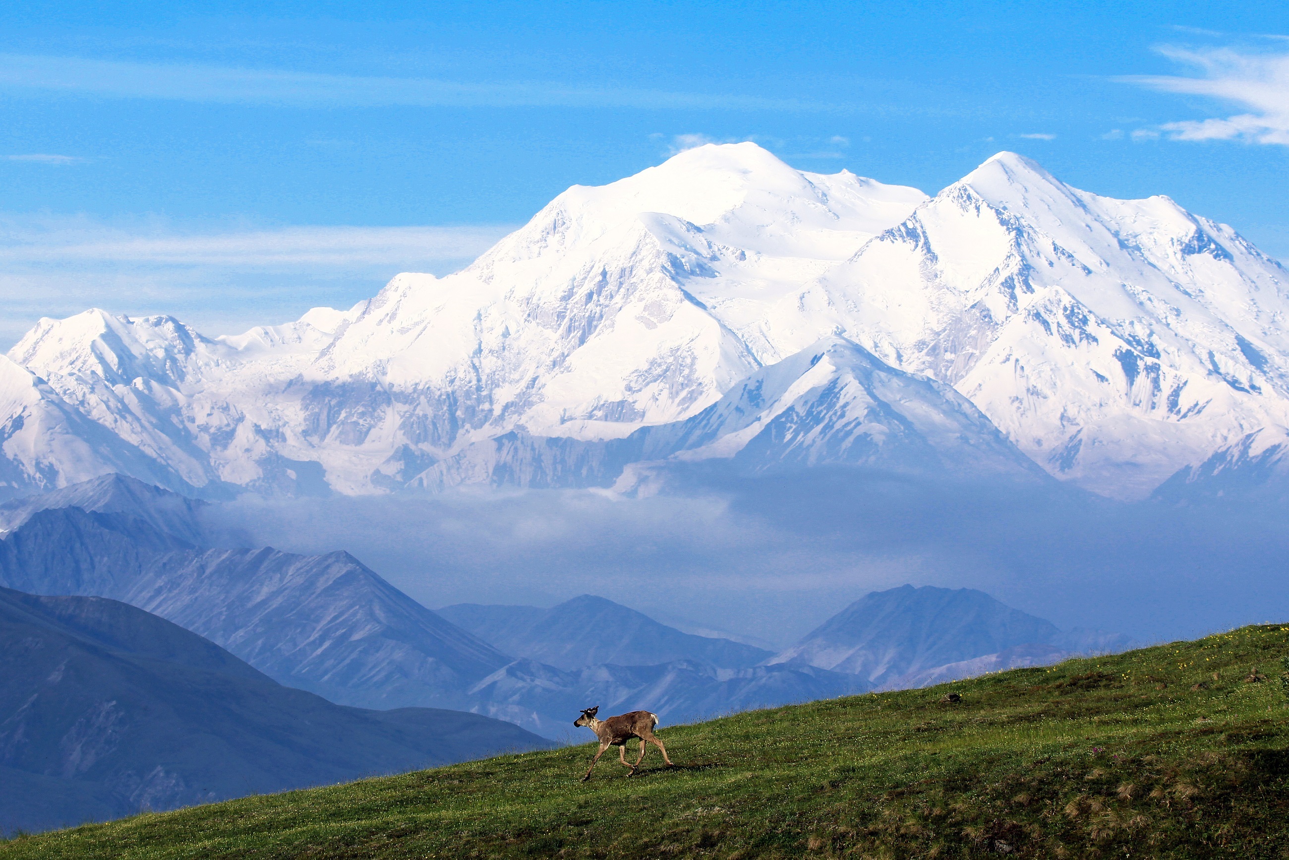 Landscape of beautiful mount mckinley view free image download