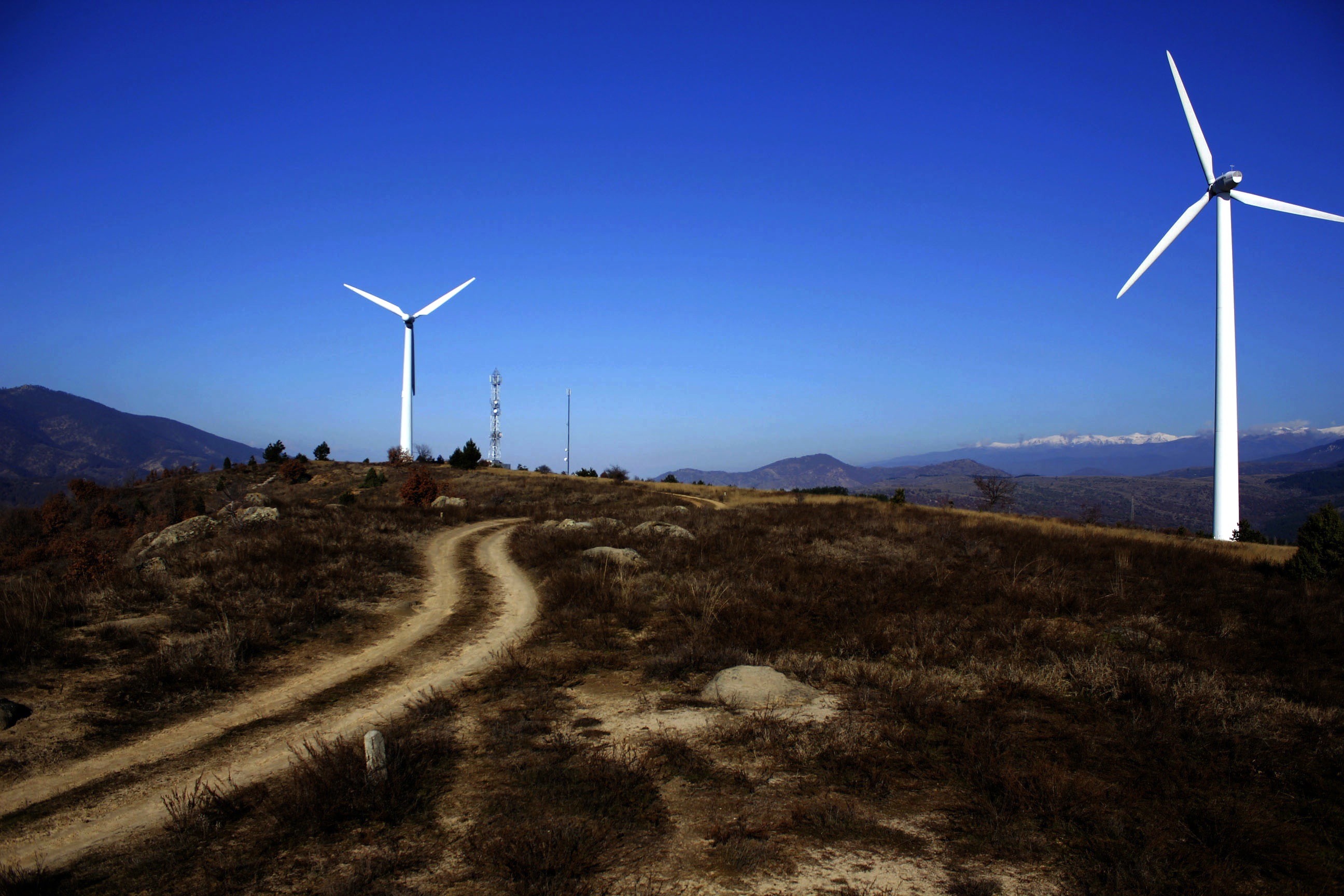 Dirt road along wind turbines free image download
