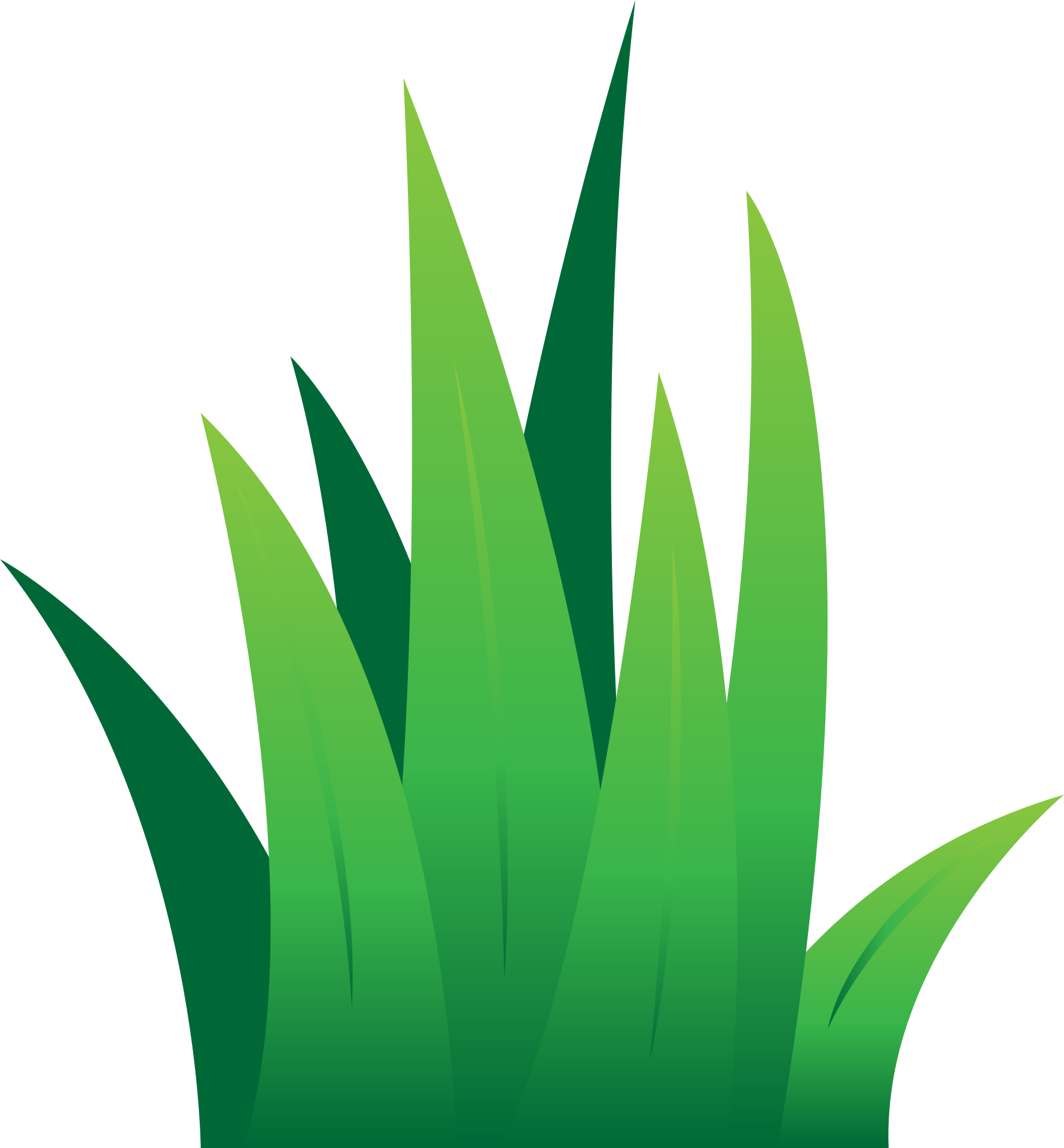 Lawn Green Grass free image