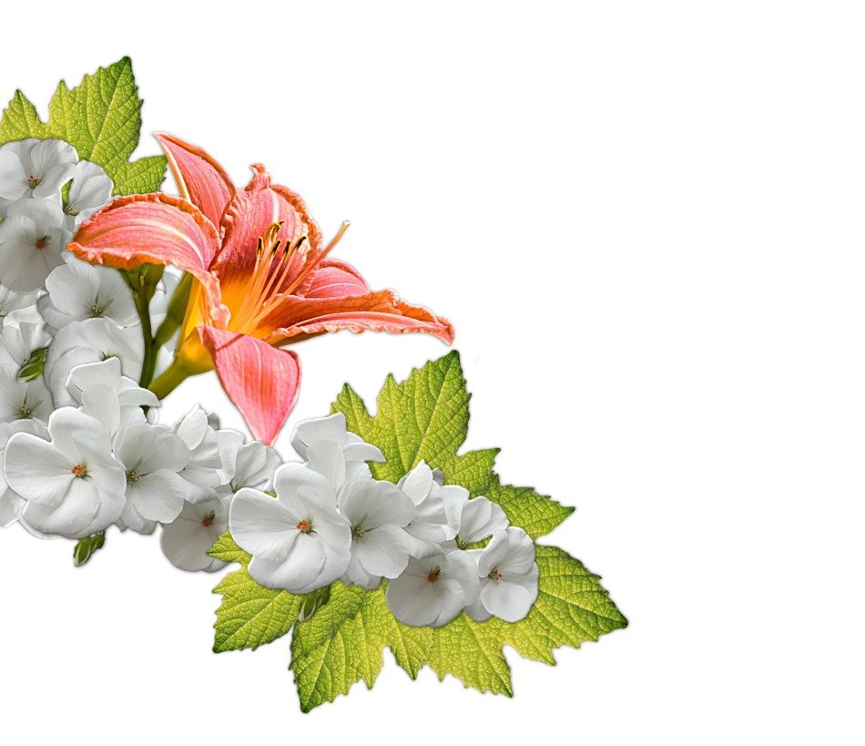 Flowers decoration free image download