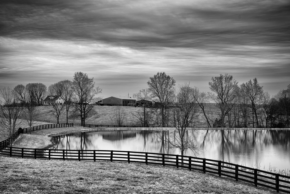 Black and white picture of countryside free image download