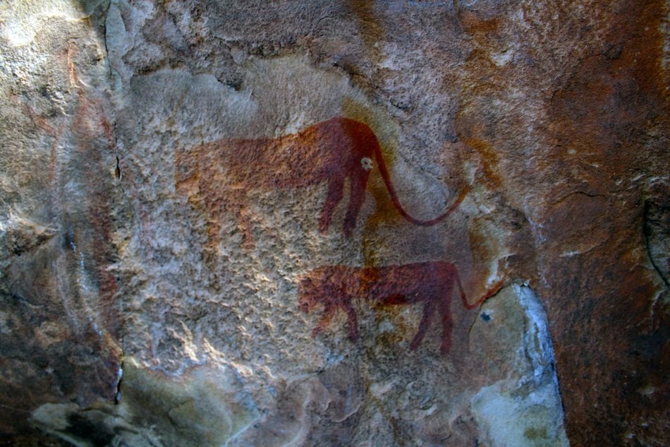 Prehistoric animalistic painting, cave art, South Africa, Drakensberg