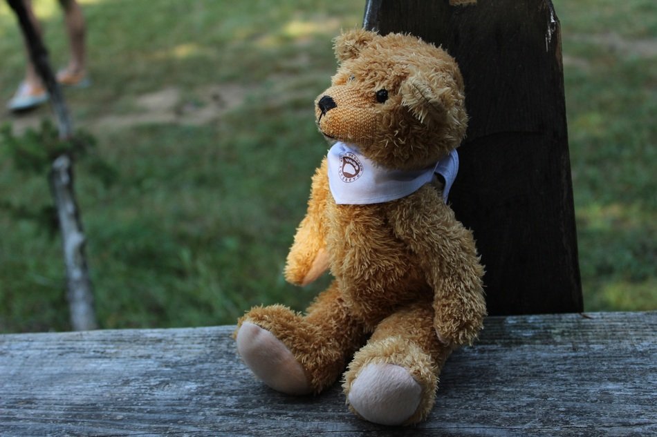 Awesome Teddy Bear toy free image download
