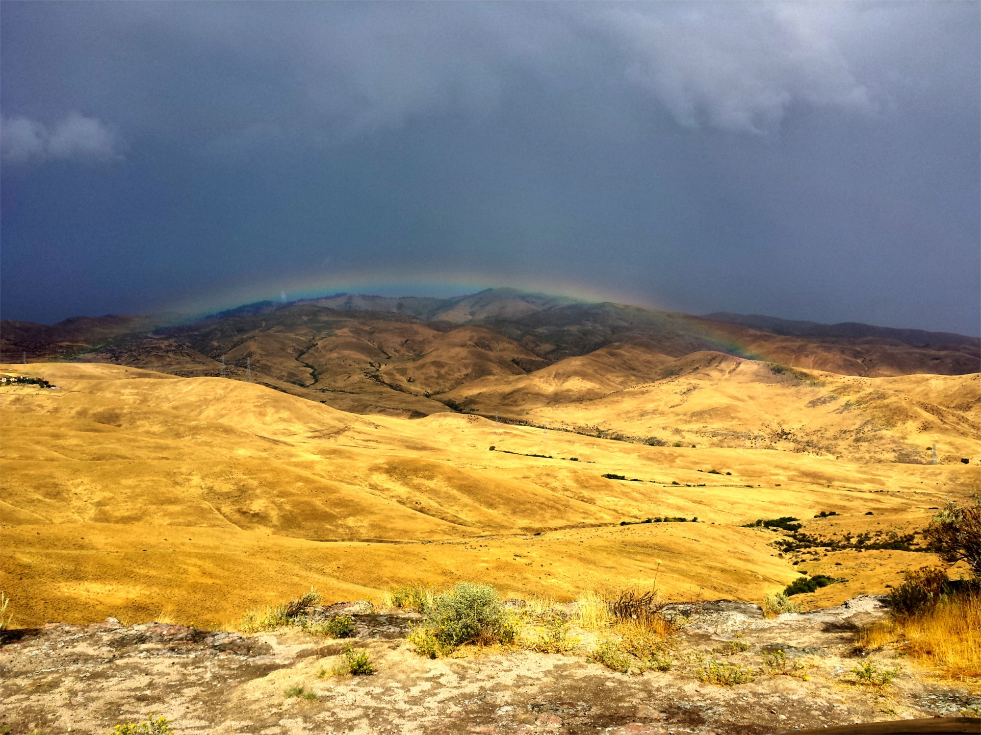 Golden desert in Idaho free image download