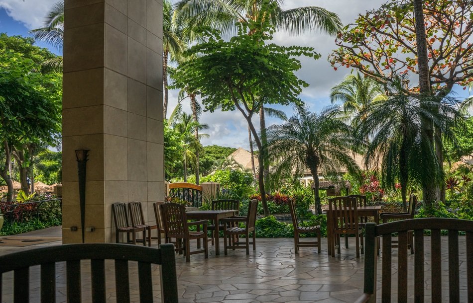 Chairs and tables on terrace at palm trees, usa, Hawaii, Oahu, Resort