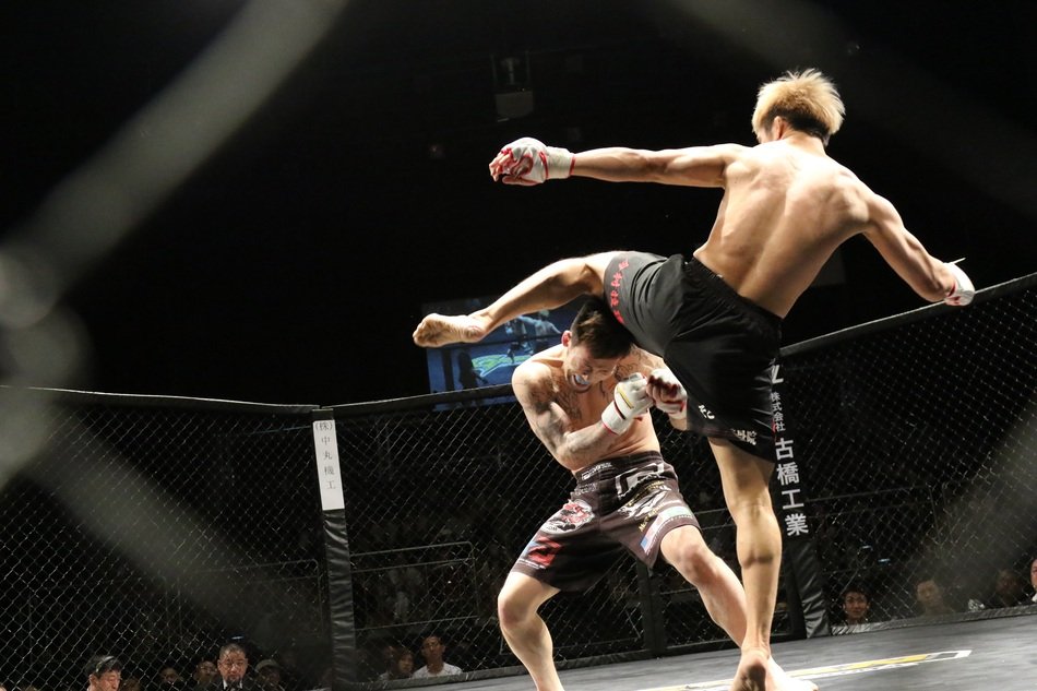 Mma Mixed Martial Arts free image download