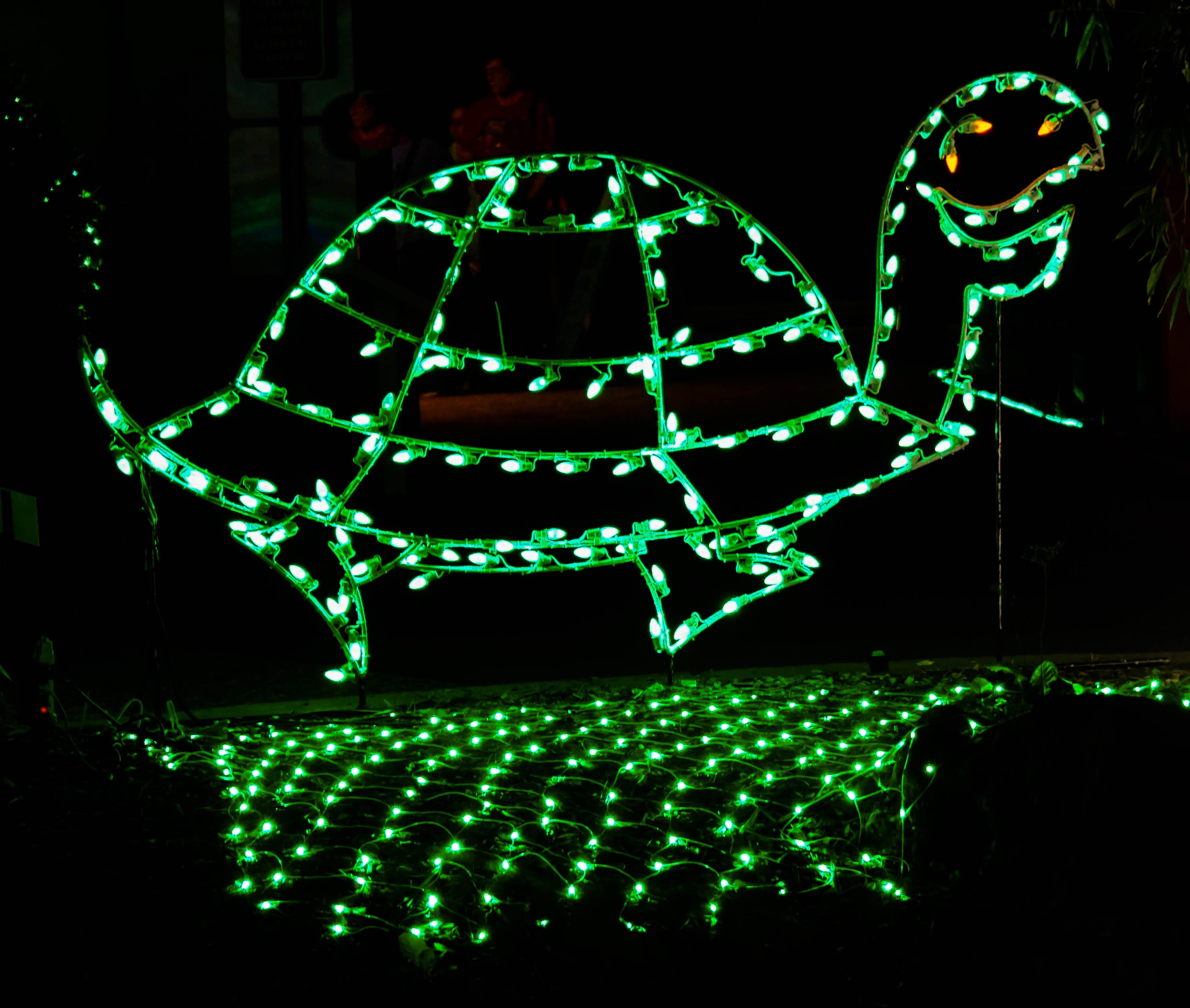 Turtle christmas decoration free image download