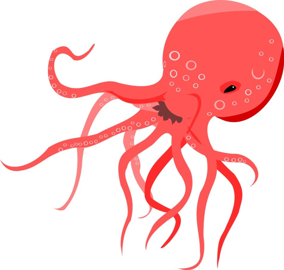 Ocean Octopus Red drawing free image download