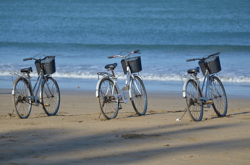 Bicycle Rental on Beach free image download