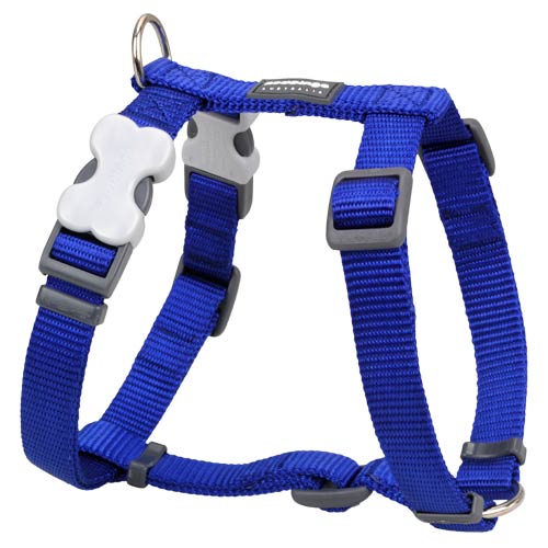 Blue Dog Harness free image download