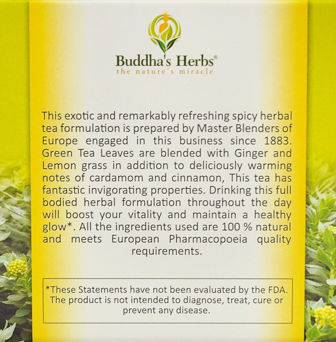 Wings Tea Green Tea with Ginger, Cinnamon & Cardamom 2 Pack 20