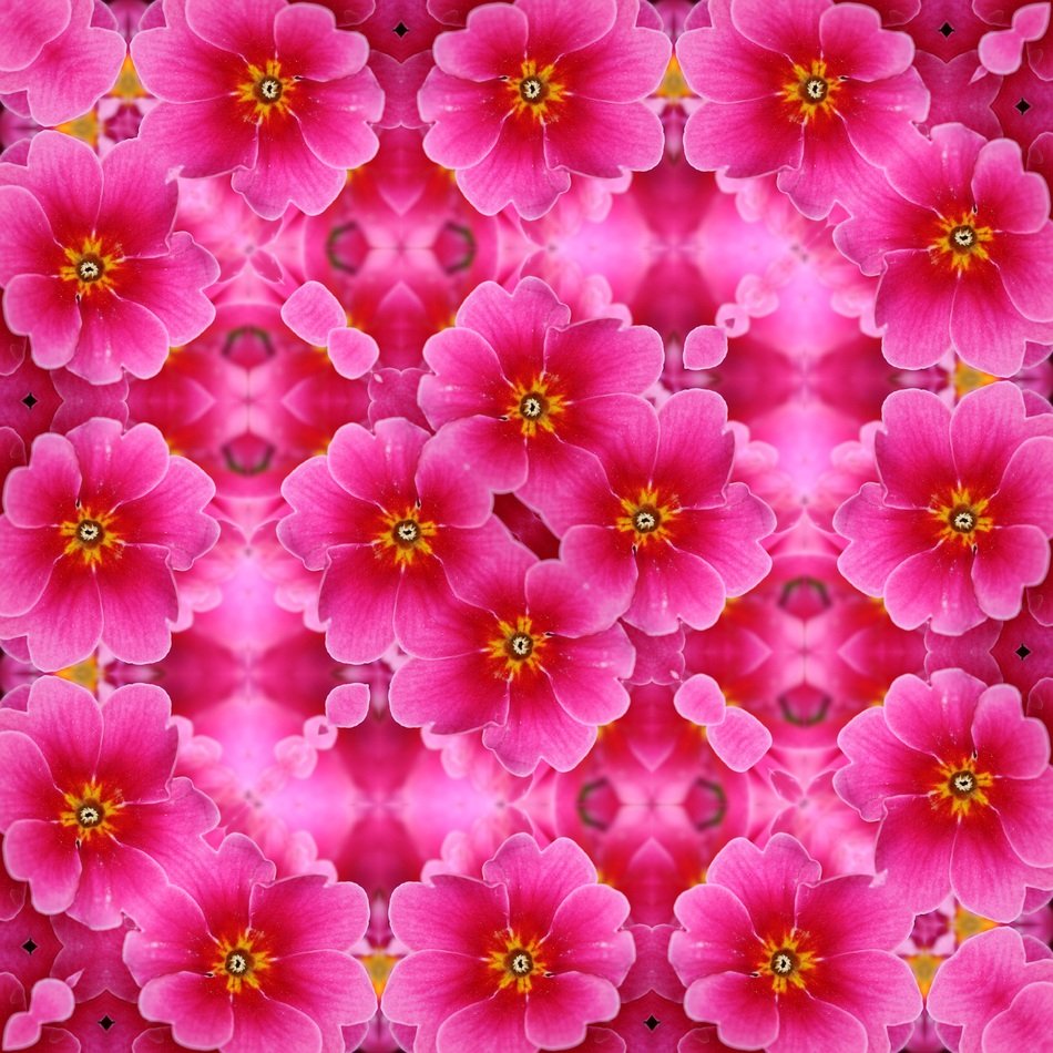 Background with seamless pink flowers free image download
