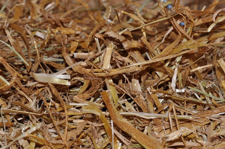 Straw litter natural material close free image download