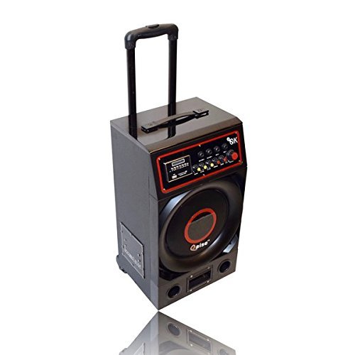 Portable Tailgate Bluetooth Speakers/Party Speakers N2 free image download