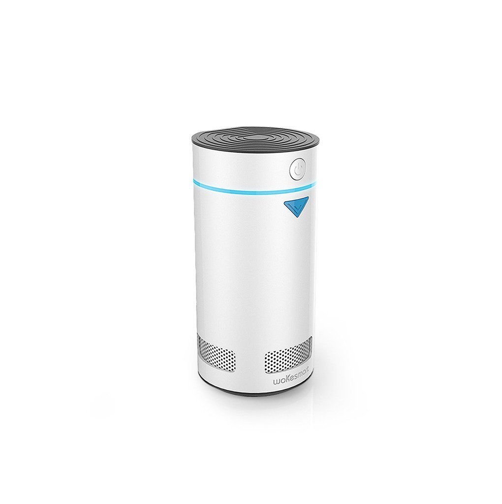 Wokesmart Refrigerator Deodorizer, Ionizer Air Purifier, Fridge Ionic