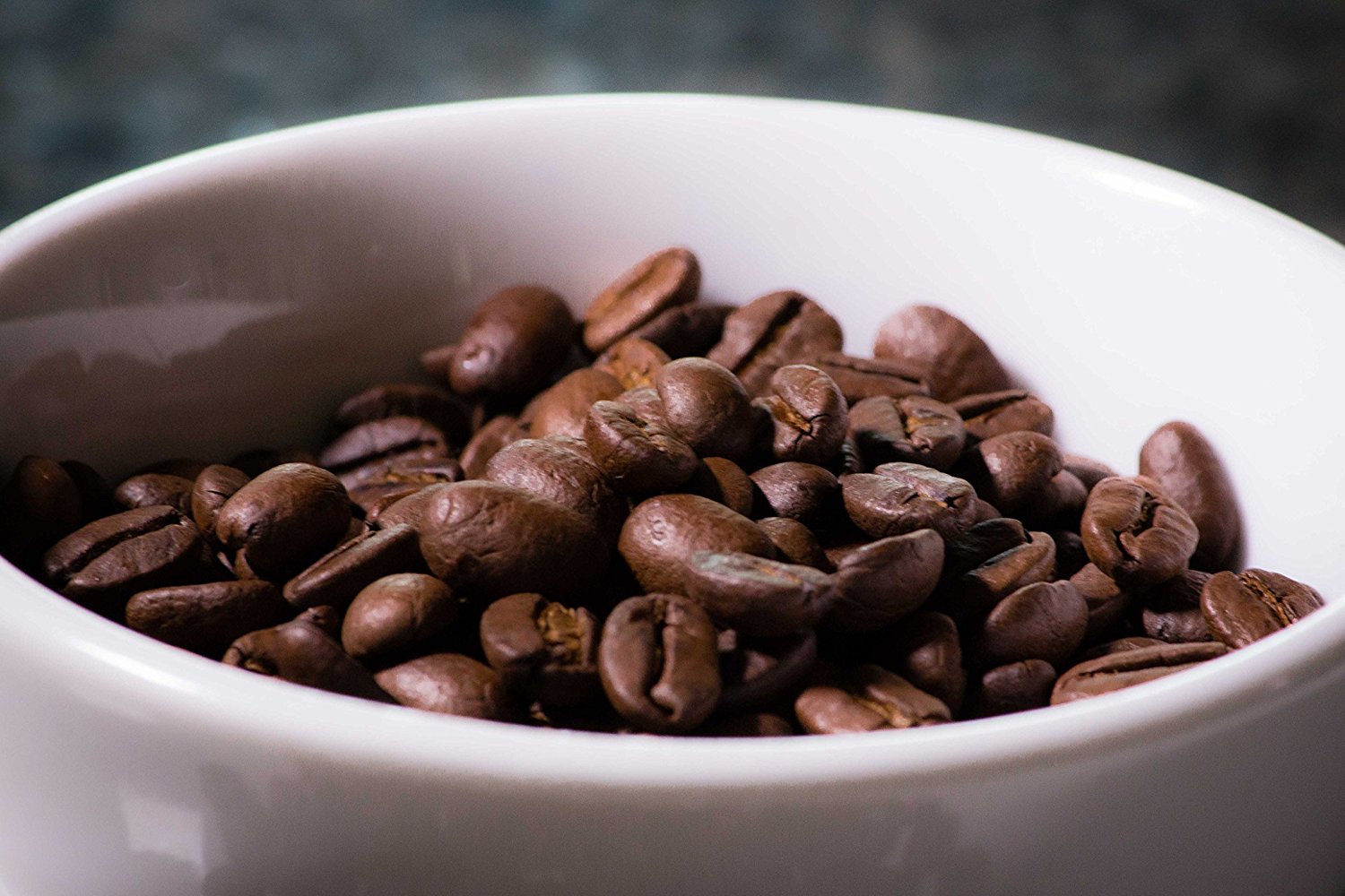 Jungle Coffee Beans Costa Rican Organic Dark Roast Whole Bean (1 lb