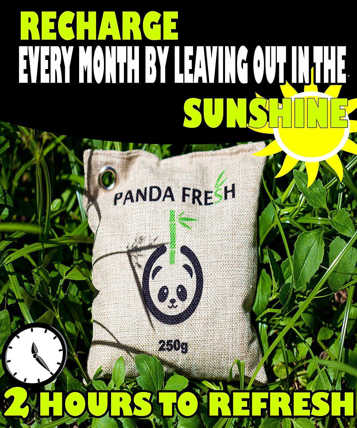 LARGE Remove Odors Naturally with Activated Air Purifying Moisture