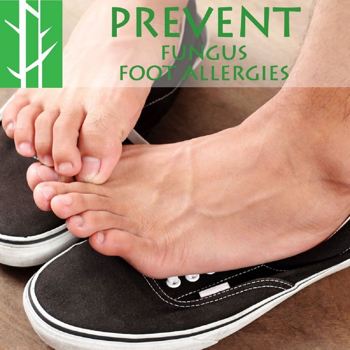 Activated Charcoal Shoe Deodorizer Inserts By Sagano 2x Extra Large