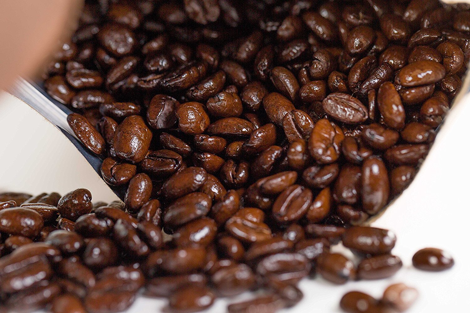 DARK COSTA RICAN 'TARRAZU' Whole Bean Coffee 1 LB Bag Premier Volcanic Soil/High Altitude