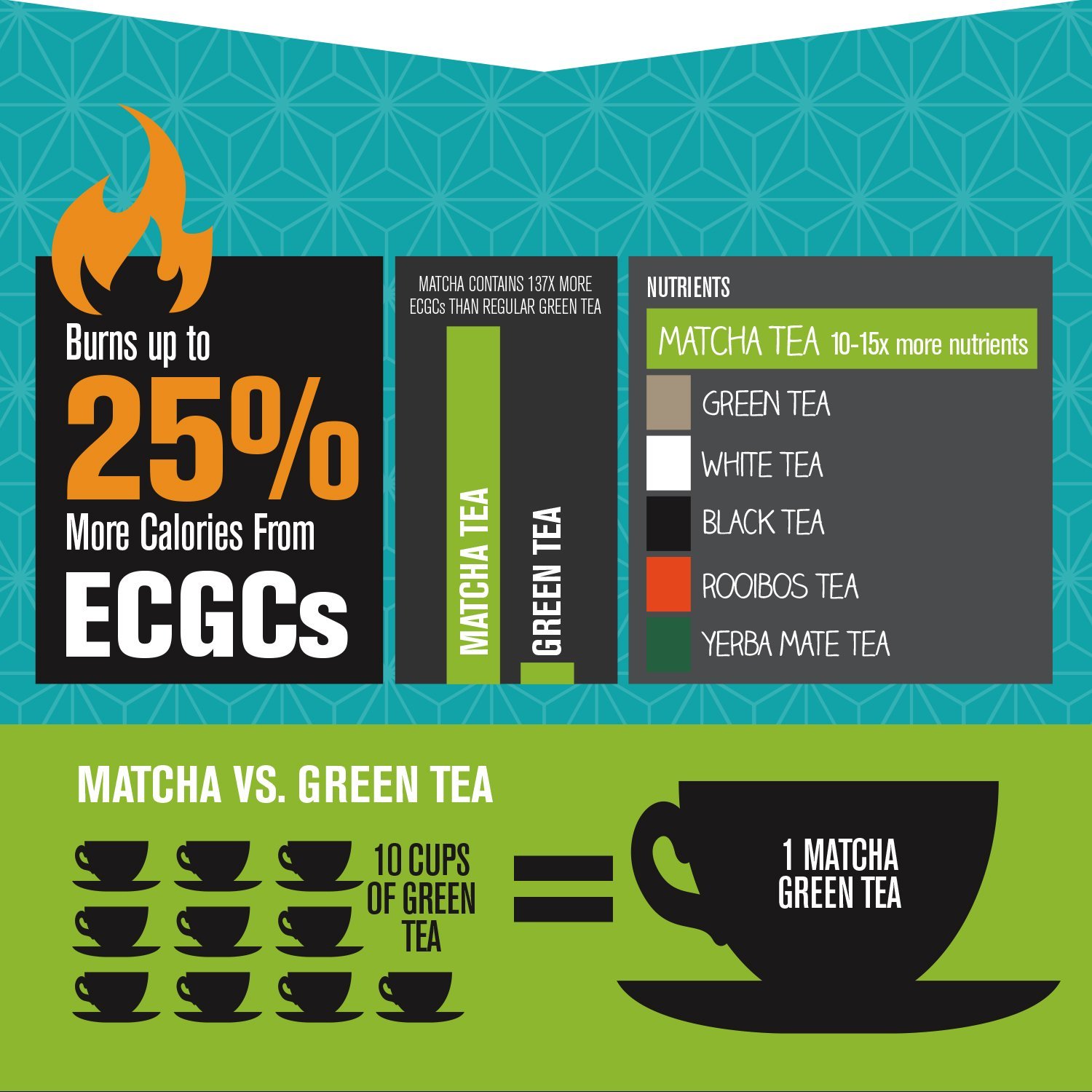 Epic Matcha Green Tea Powder USDA Organic Best Culinary Grade