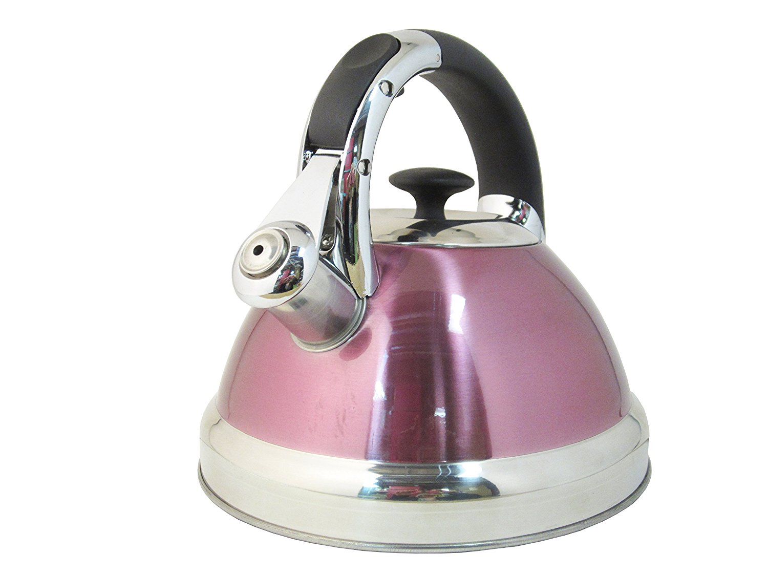 Native Spring 3Quart Whistling Stainless Steel Tea Kettle Excellent