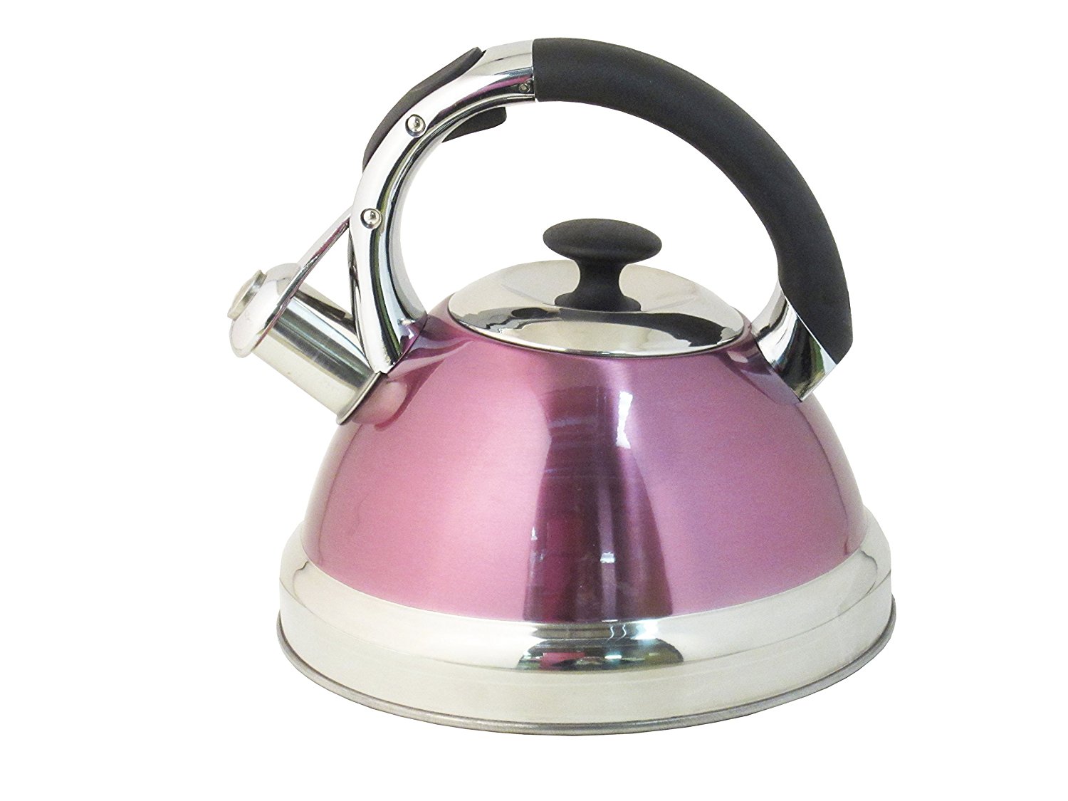 Native Spring 3Quart Whistling Stainless Steel Tea Kettle Excellent