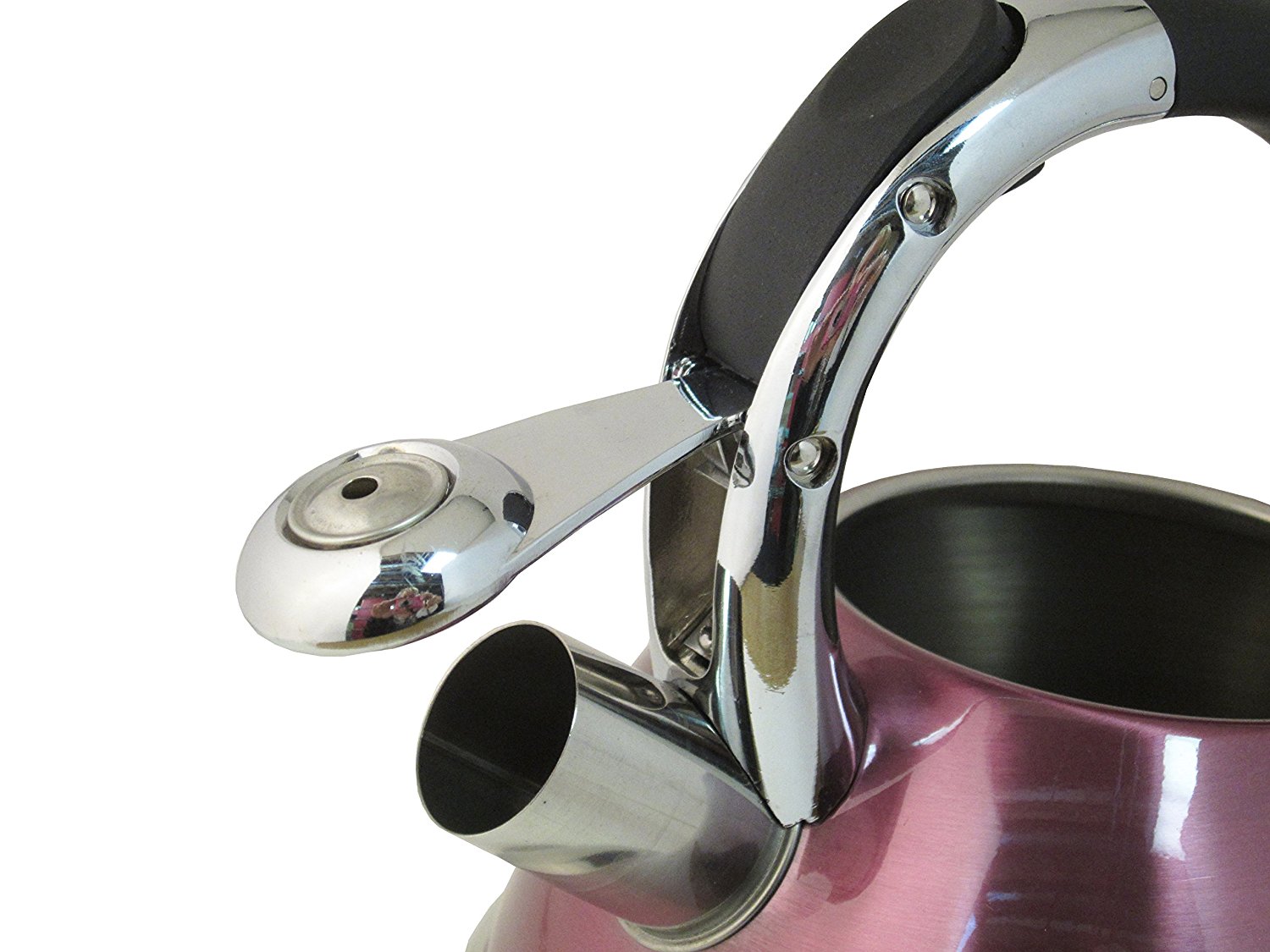 Native Spring 3Quart Whistling Stainless Steel Tea Kettle Excellent