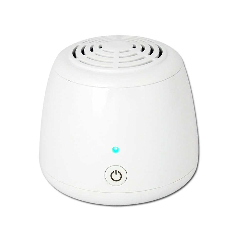 Dream’s Story Ionic Air Purifier USB Portable Air Ionizer Ozone