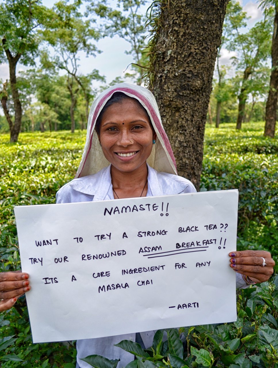 Assam Breakfast Black Tea Fresh 2016 CTC Indian Loose Leaf Blend