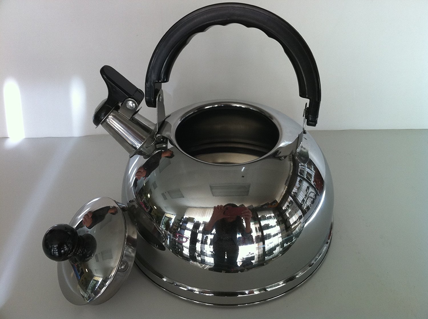 Fan Palm Ware Stainless Steel Whistling Tea Pot Kettle 2.5 Liter N5