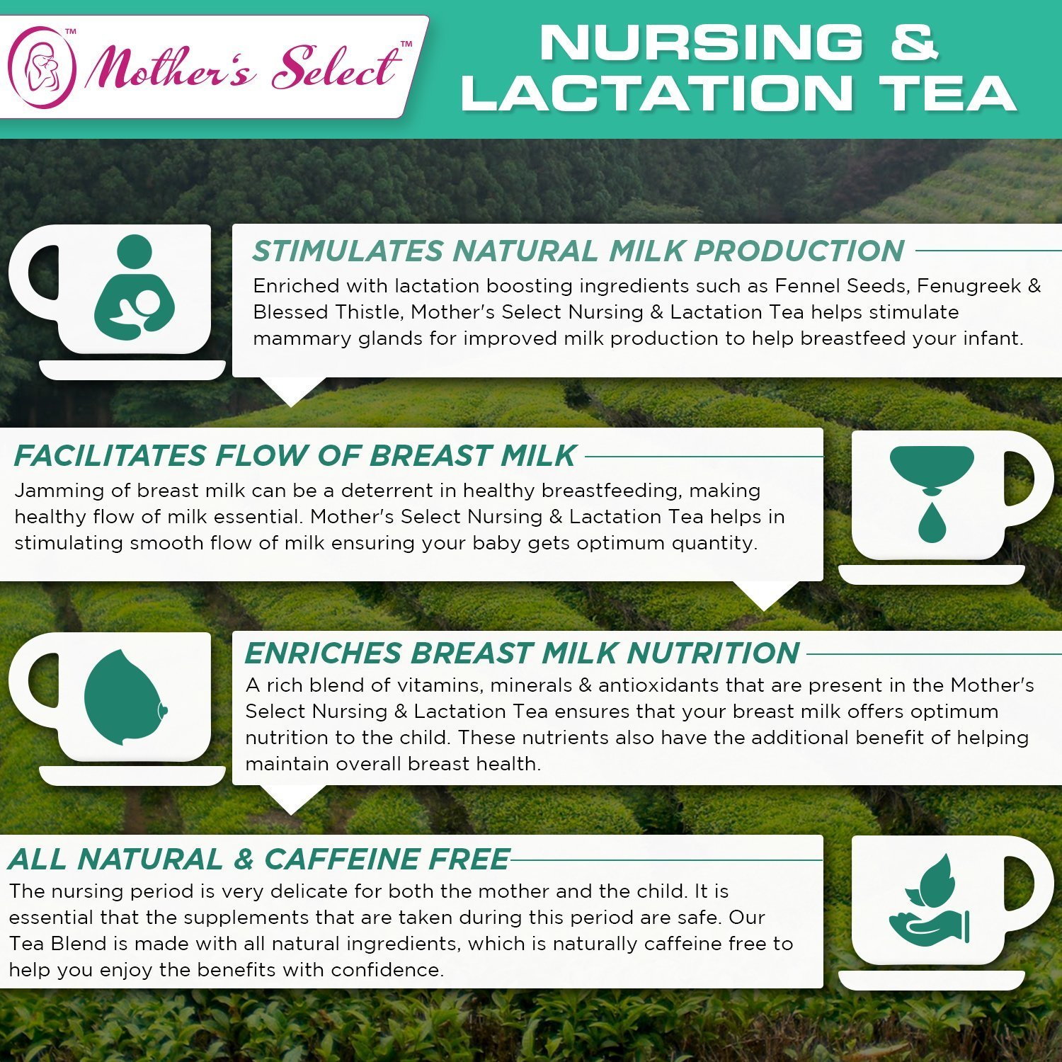 Nursing & Lactation Tea by Mother’s Select to Increase Breast Milk