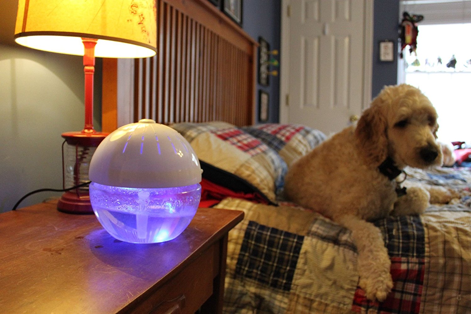 EcoGecko Pure H2O Large Water Based Air Purifier Revitalizer Air