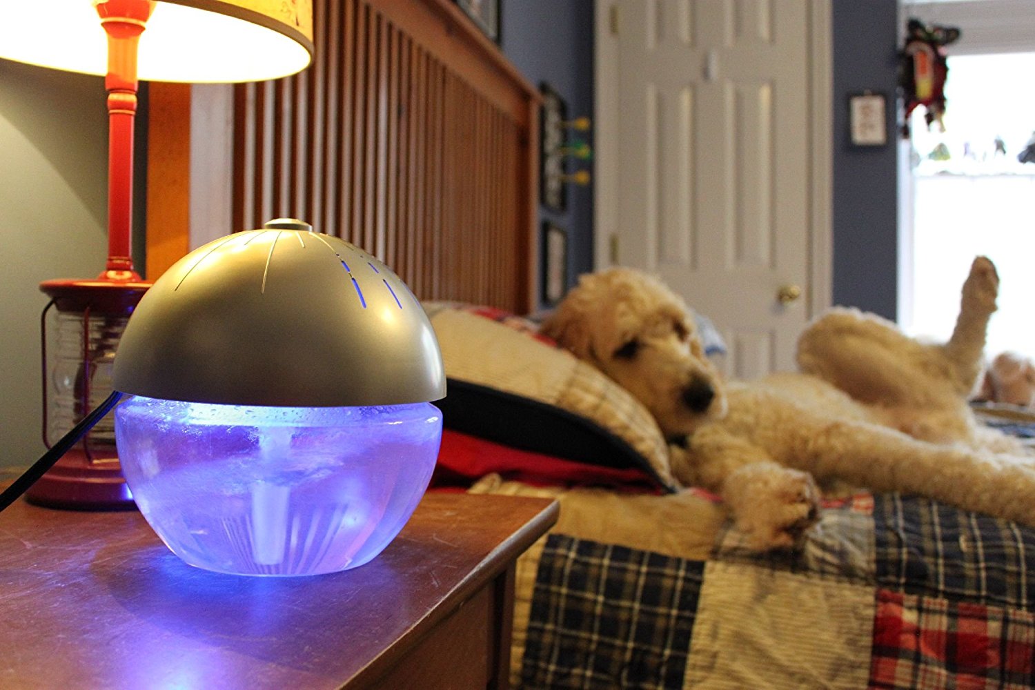 EcoGecko Pure H2O Large Water Based Air Purifier Revitalizer Air