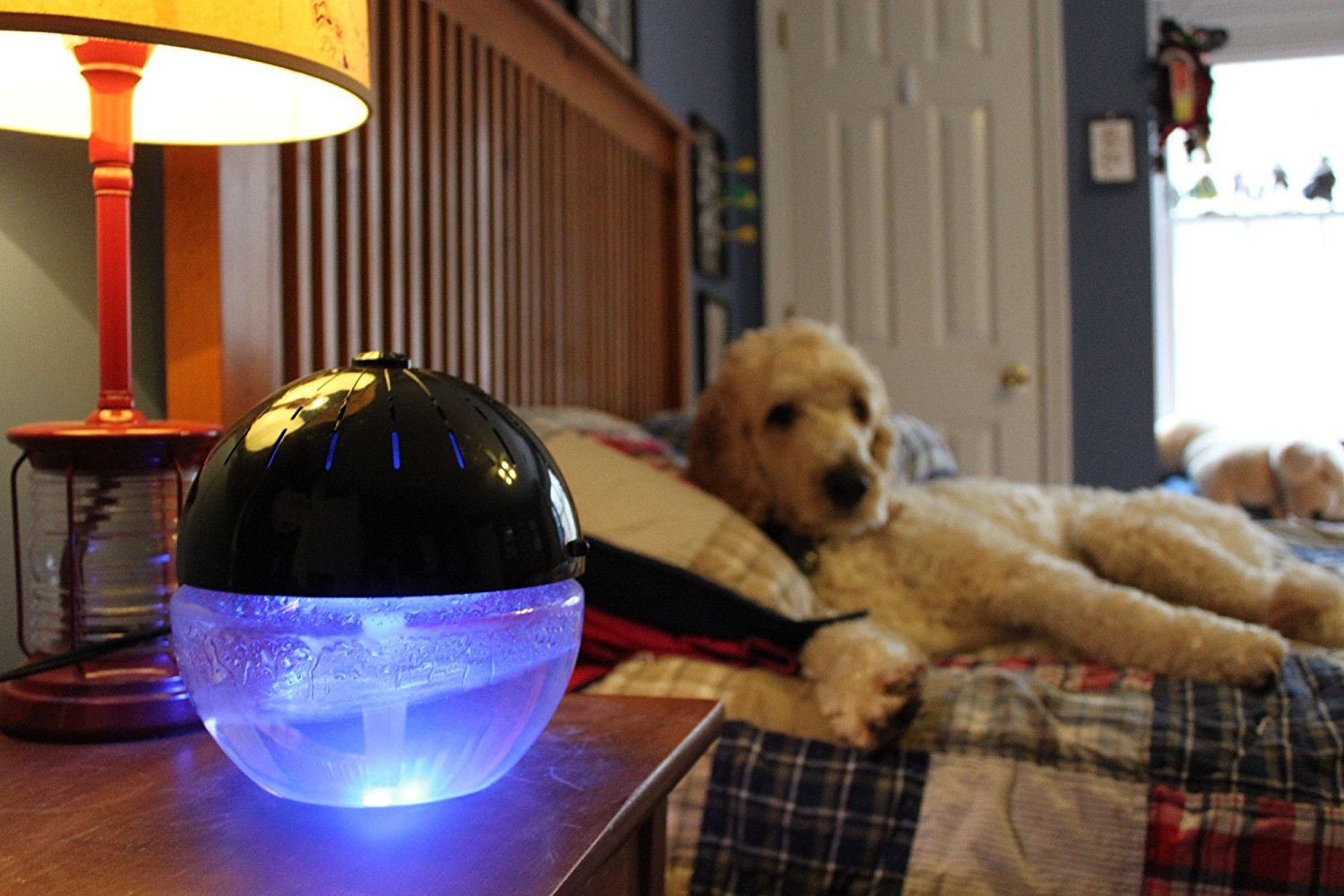 EcoGecko Pure H2O Large Water Based Air Purifier Revitalizer Air