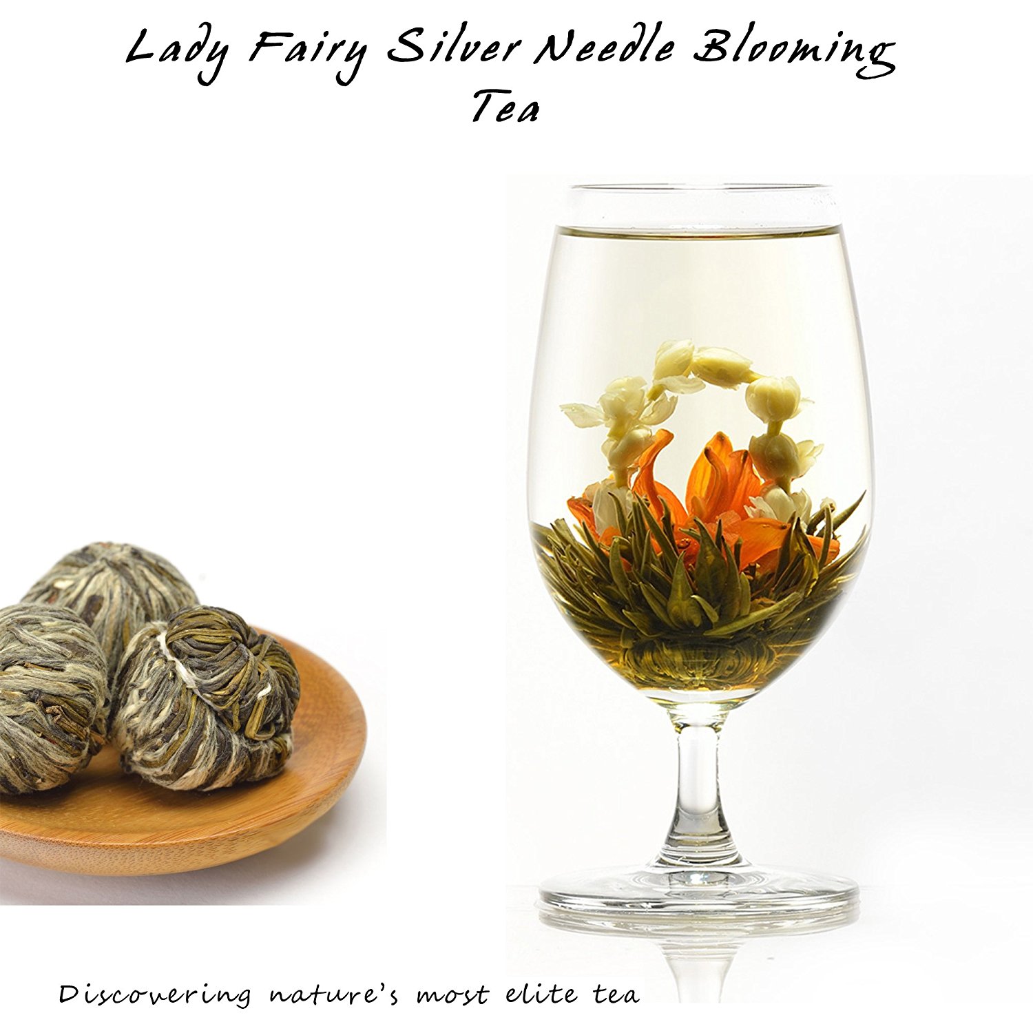 Elitea® 12 Pieces Premium Grade Jasmine Blossom Blooming Flowering