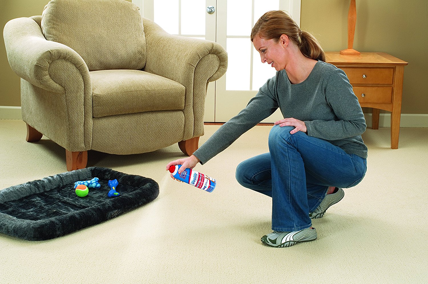 Woolite INSTAclean Pet Stain Remover, 1783 N2 free image download