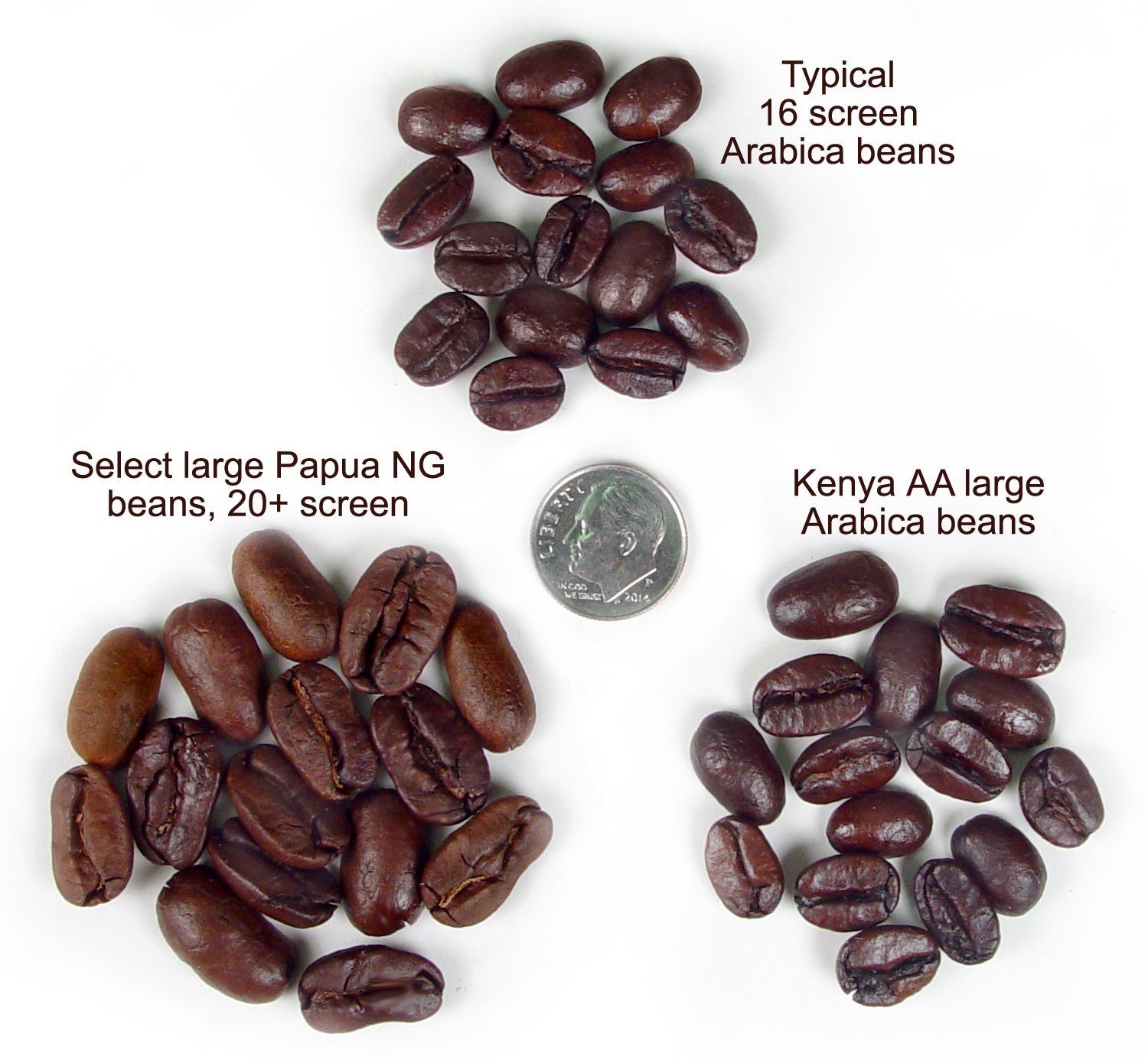 Papua New Guinea Organic Wildgrown Unroasted Green Coffee Beans (3 LB