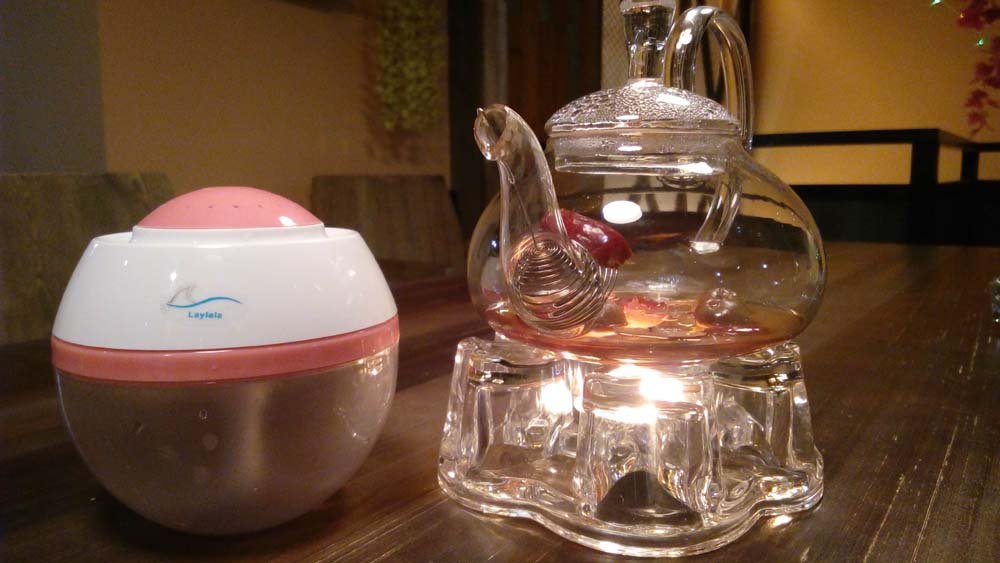 Laylala® Anion Humidifier USB Mini Humidifier Aromatherapy Atomizer