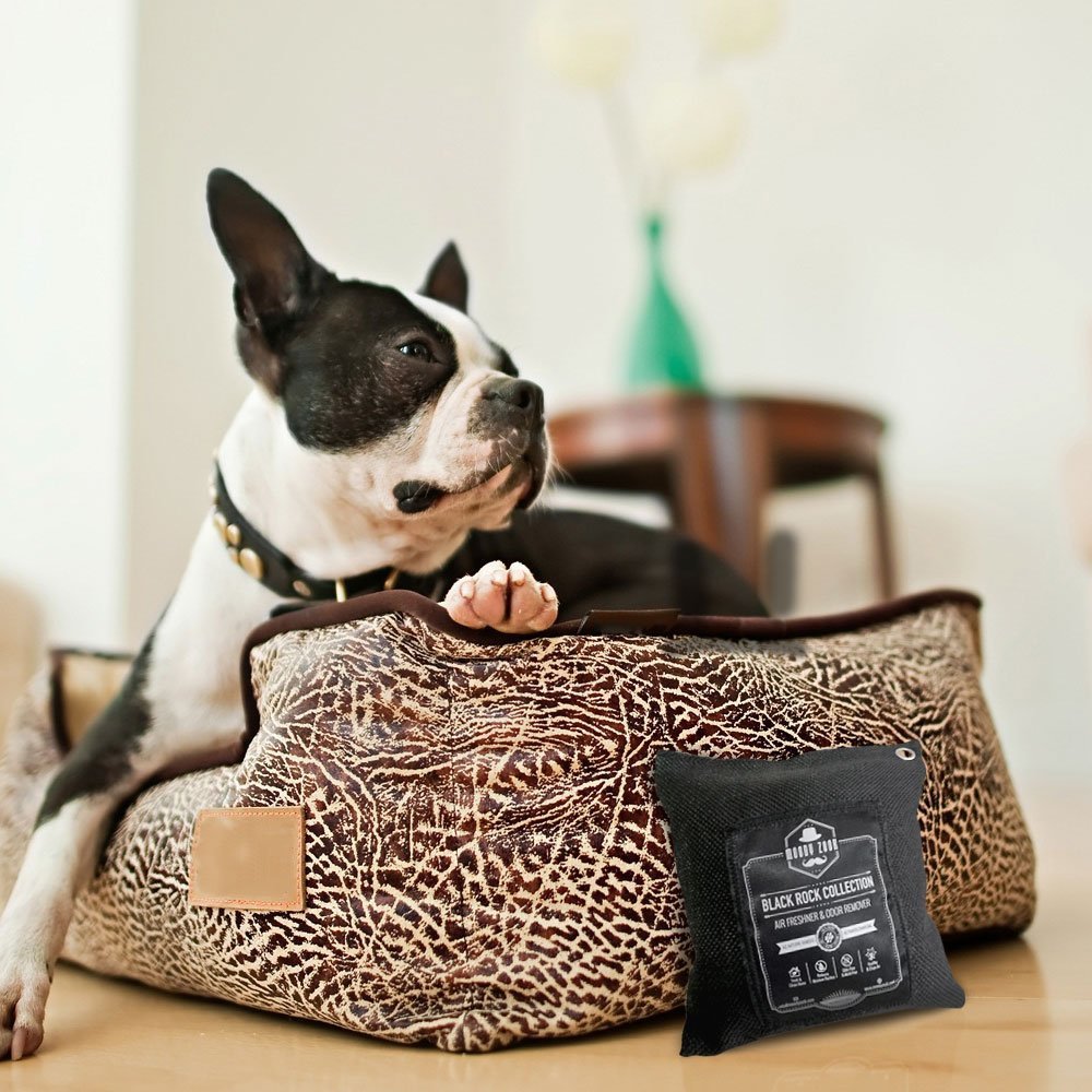 Activated Charcoal Odor Eliminator 200g Bag By Moody Zook Use