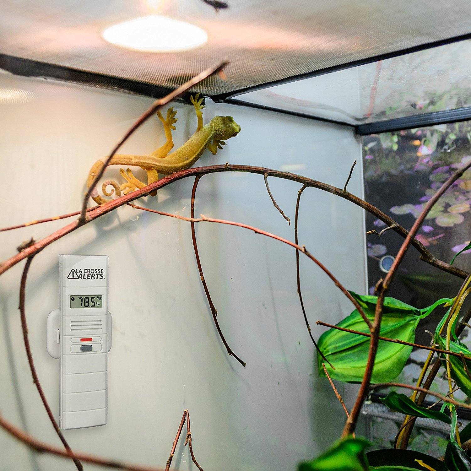 La Crosse Technology 92625102PET La Crosse Alerts 92625102PET