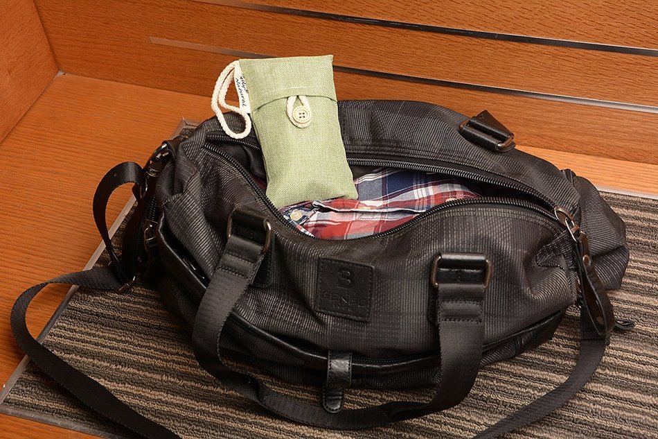 Ofeely Natural Auto Air Purifying Bag 100g Bamboo Charcoal Bags,Air