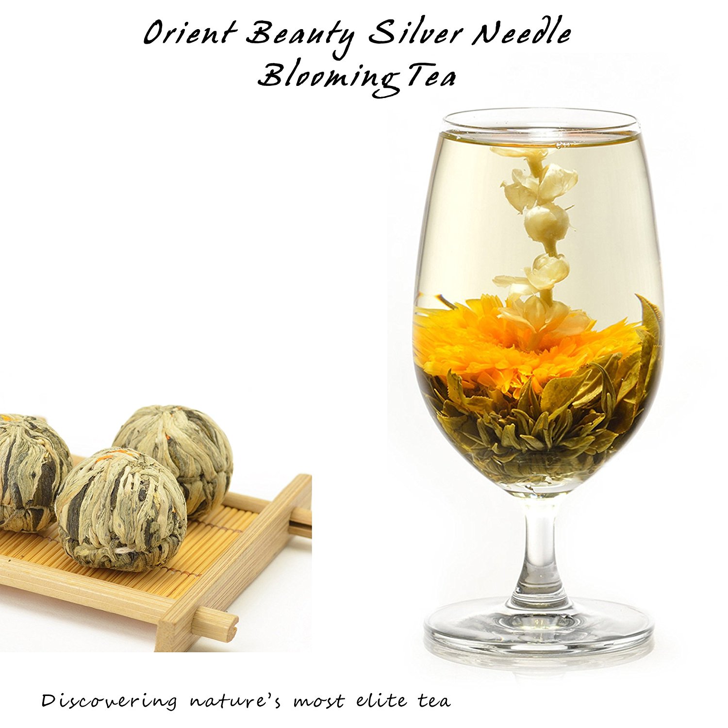 Elitea® 12 Pieces Premium Grade Jasmine Blossom Blooming Flowering