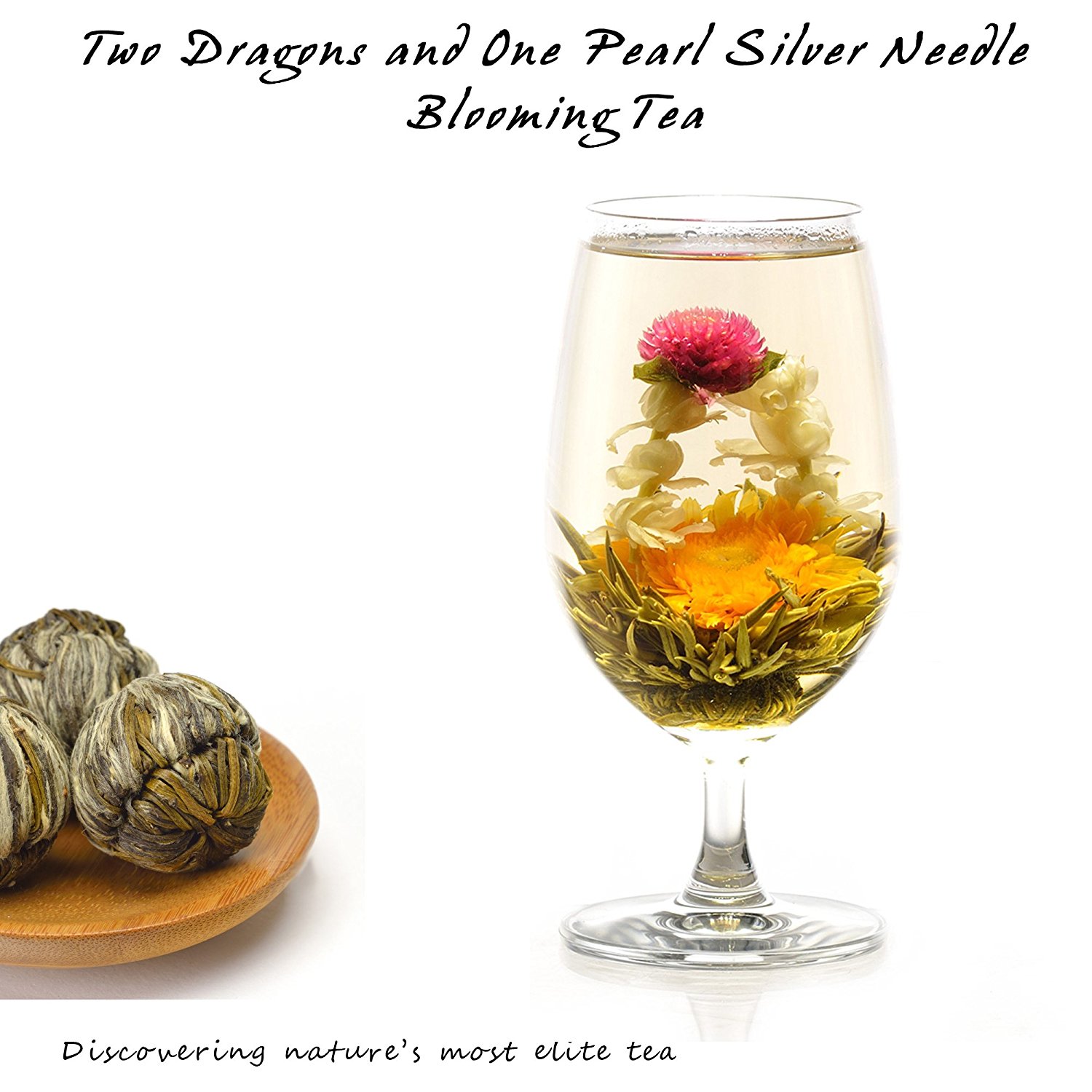 Elitea® 12 Pieces Premium Grade Jasmine Blossom Blooming Flowering